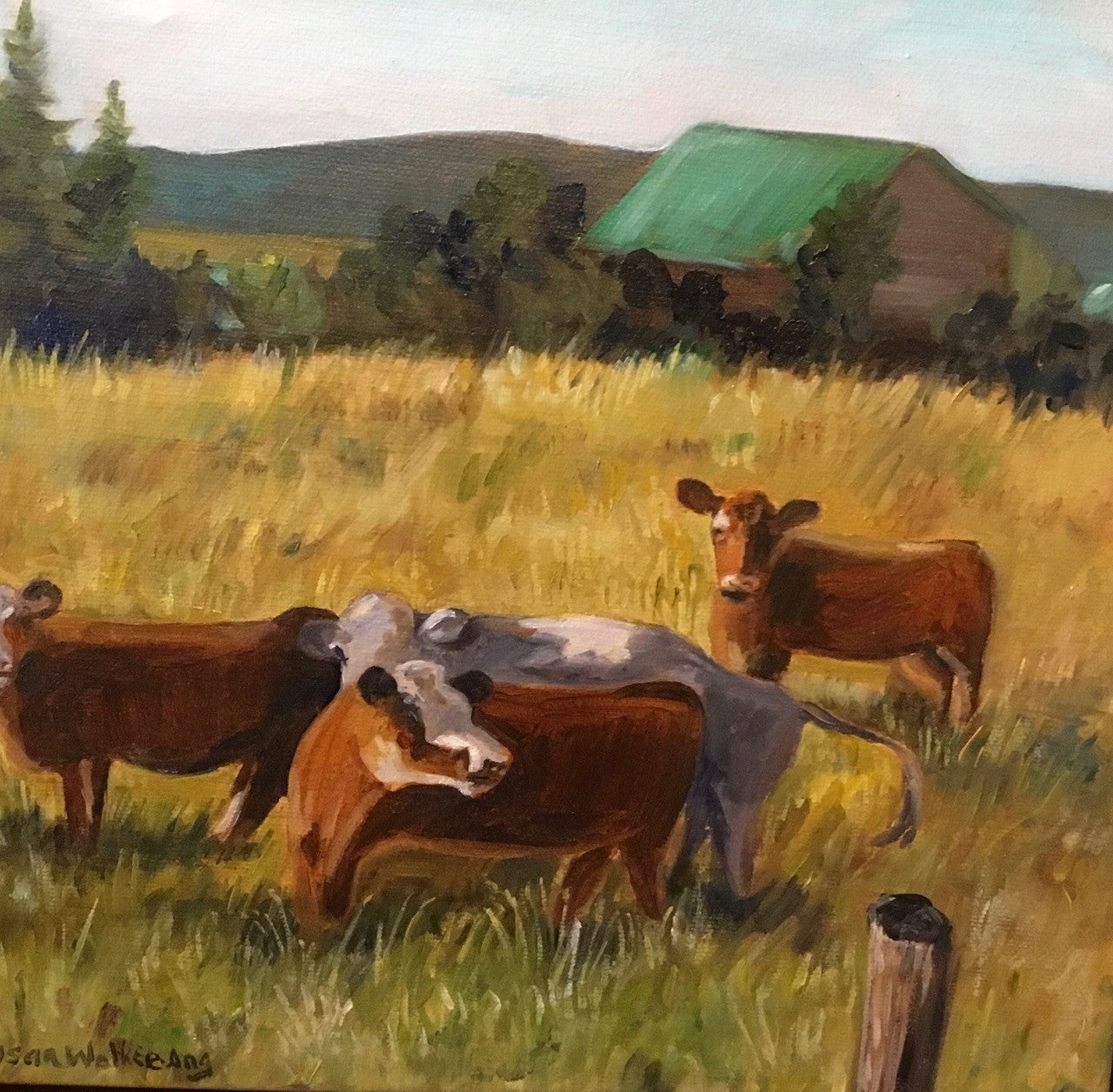 Cows in the farmer's field.