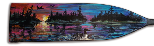Loon at sunset on the lake