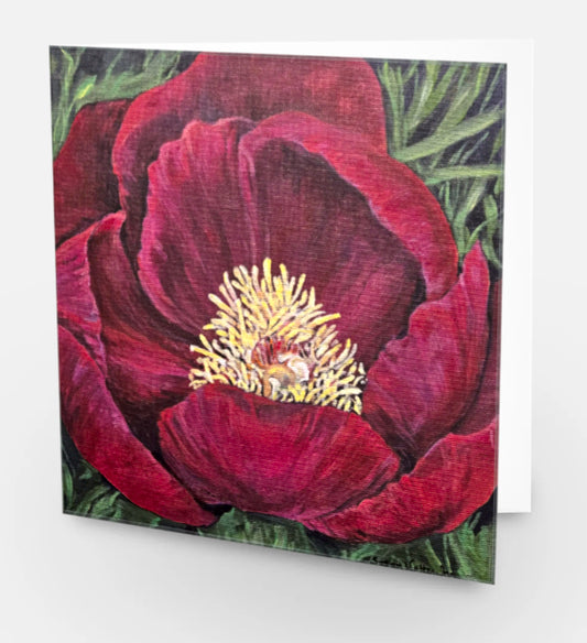 Red Poppy Bloom Card