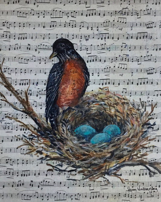 Robin in Nest